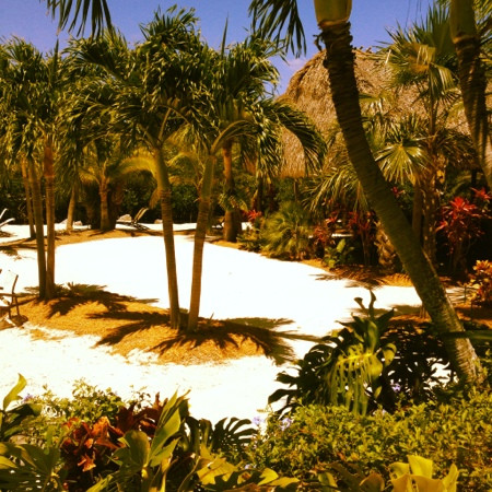 PADDLE! The Florida Keys-Tavernier必去景点