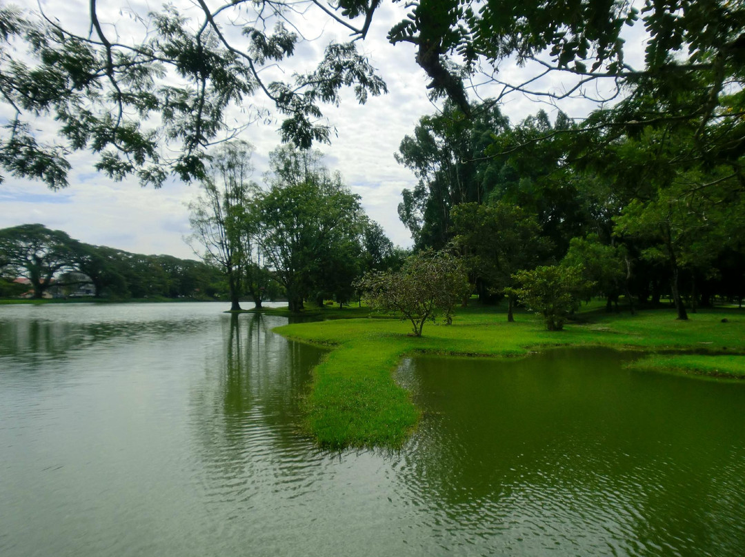 Taiping Lake Gardens景点图片