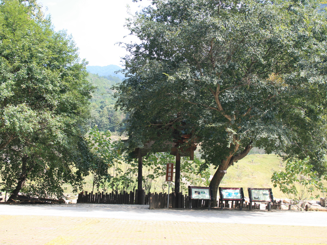 石门国家森林公园-从化市必去景点