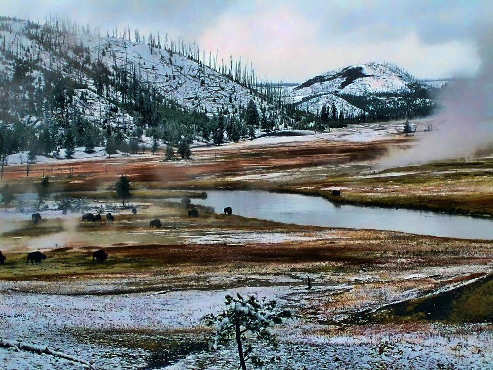 Yellowstone River-西黄石镇必去景点