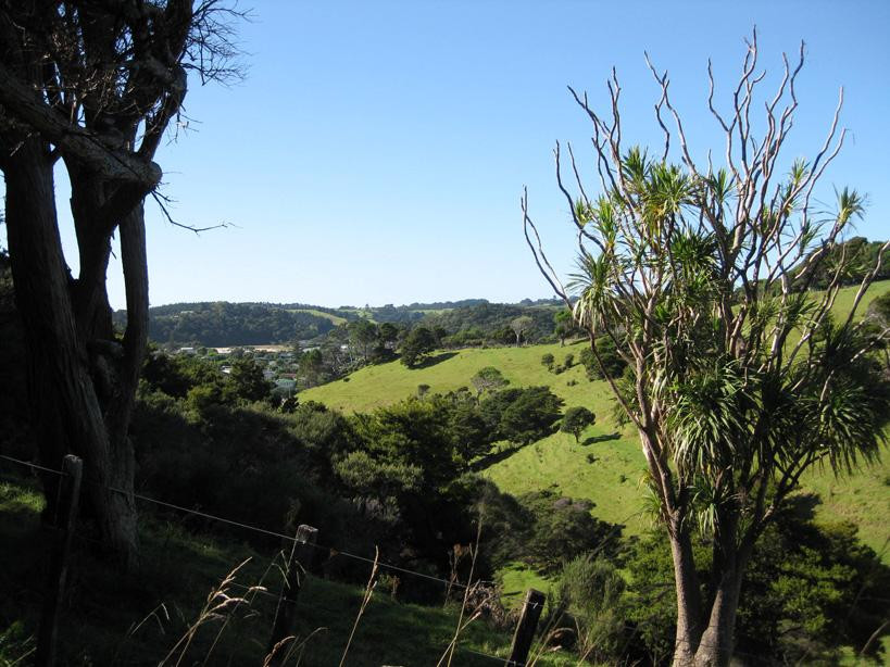 Whale Bay-Matapouri必去景点
