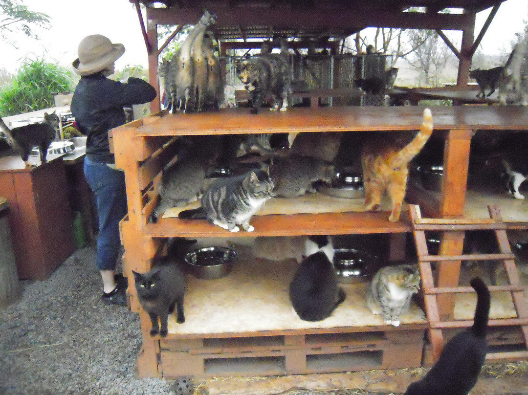 拉奈动物救援中心-拉奈市必去景点