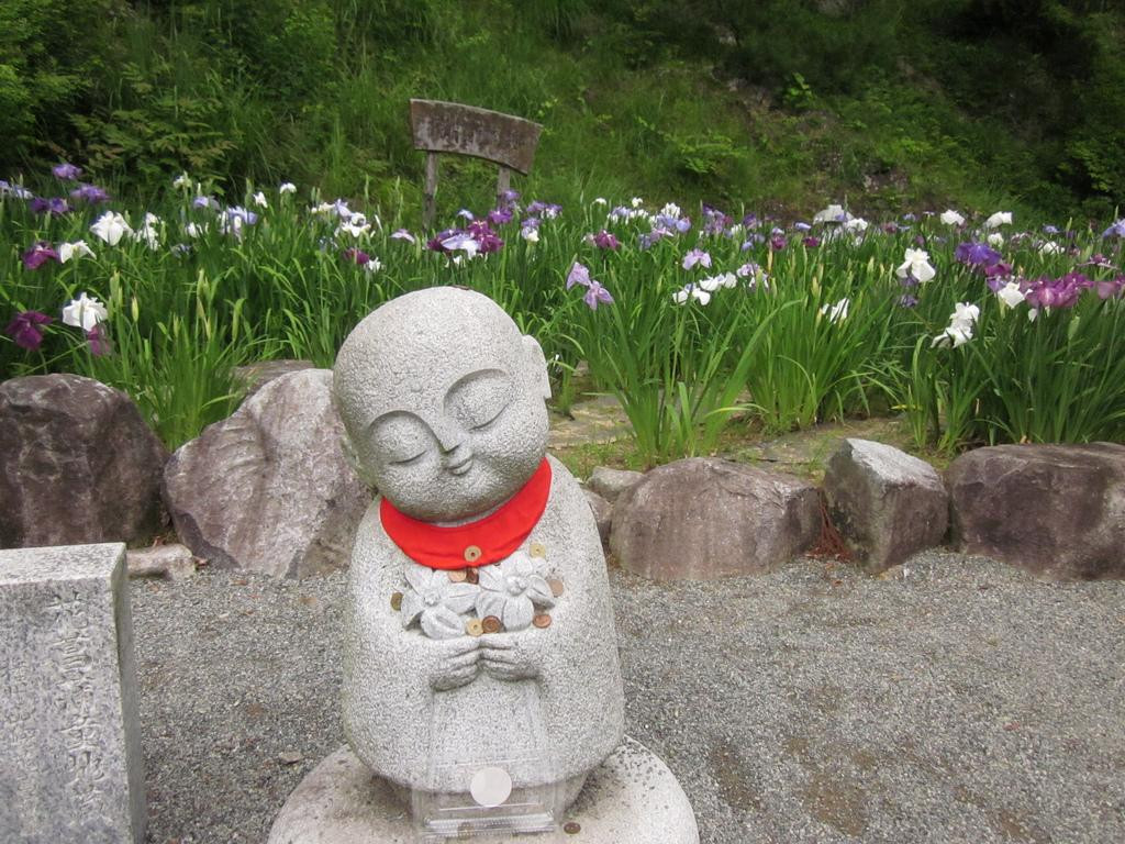 Banshu Yamasaki Hana Iris Garden-肉粟市必去景点