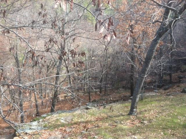 Heavener Runestone Park-Heavener必去景点