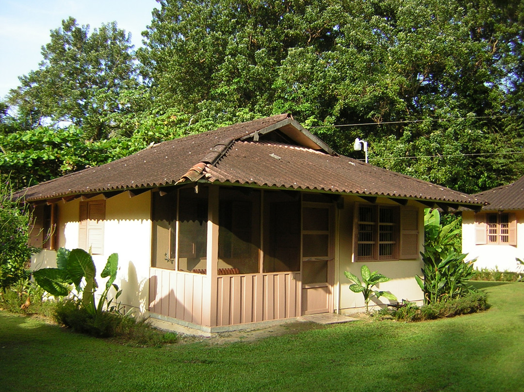 Palma Quemada酒店住宿-Hacienda Baru Lodge