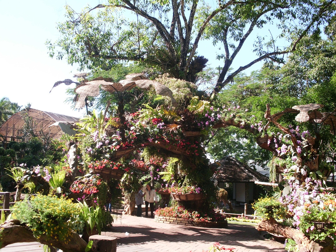 Mae Fah Luang Garden-夜发銮必去景点