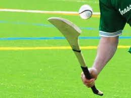 Experience Gaelic Games-都柏林必去景点