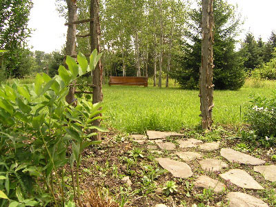 Bush Bed & Breakfast主图