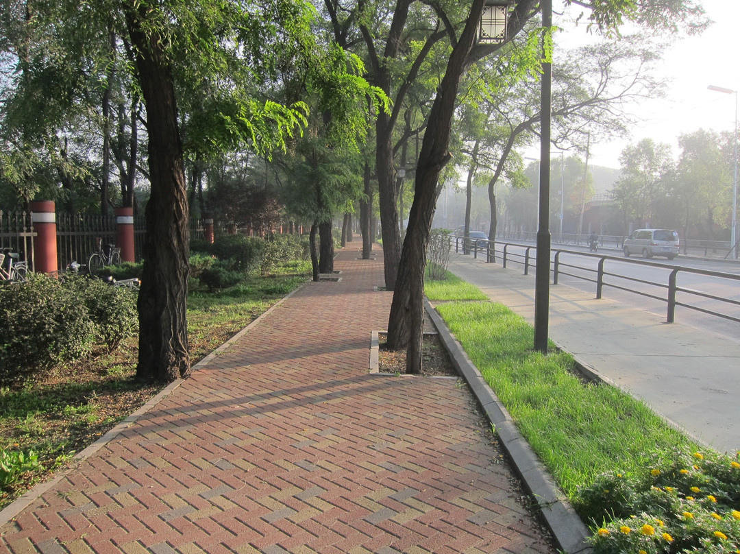 沈阳国际皇冠假日酒店主图