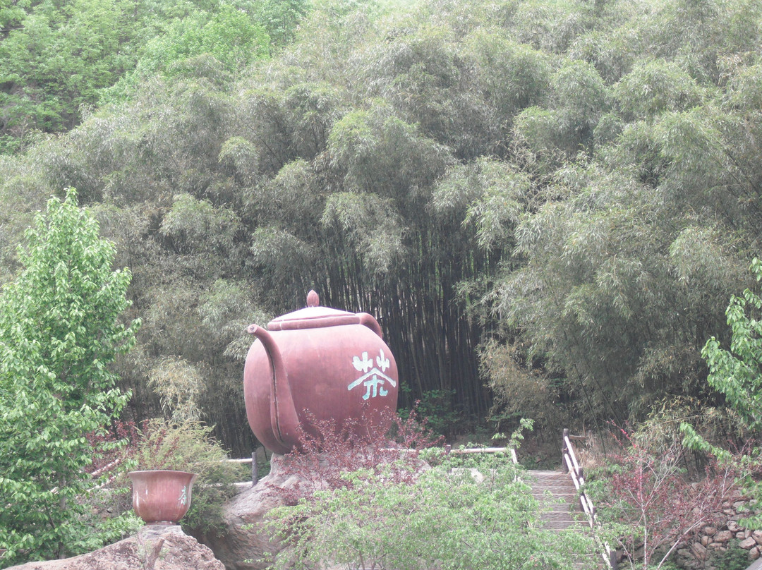 养子沟-栾川县必去景点