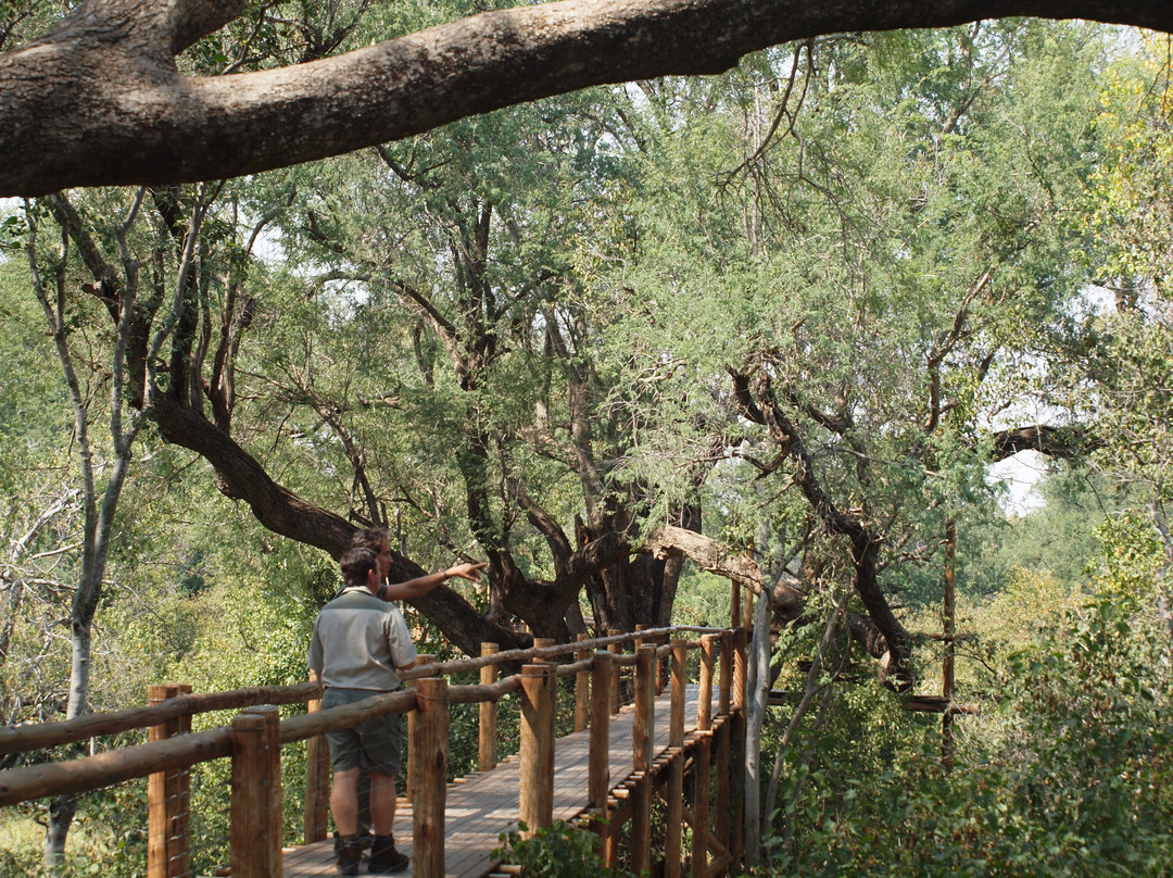 Mapungubwe National Park旅游攻略图片