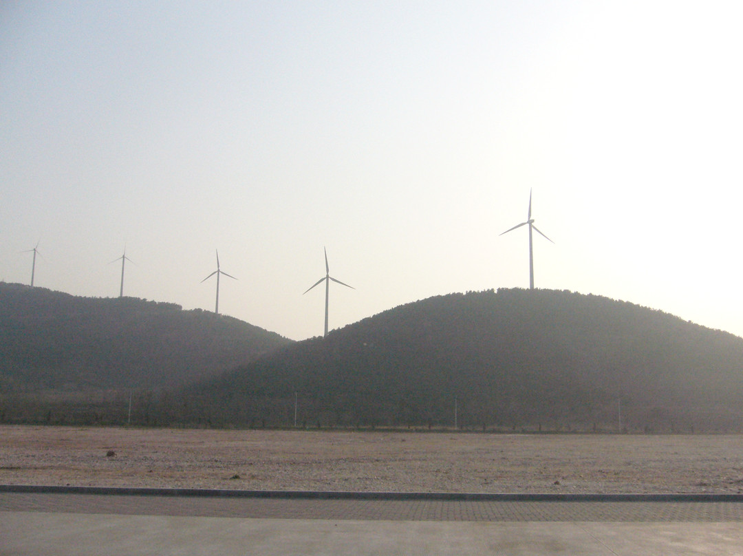 烟台长岛万鸟岛-长岛县必去景点