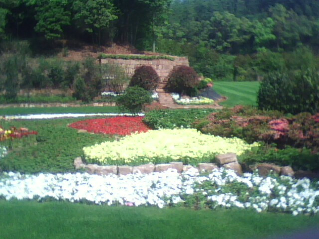 凤湖烟柳度假酒店主图