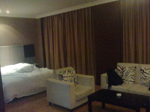 长春乐府维景酒店（人民广场火车站店）-客卧