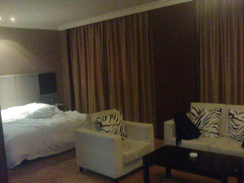 长春乐府维景酒店（人民广场火车站店）主图