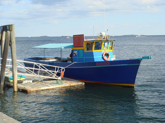 Mahi Mahi Harbor Cruises & Events-塞勒姆必去景点