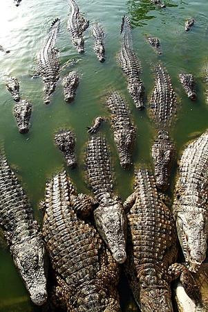 Park Djerba Explore-米栋必去景点