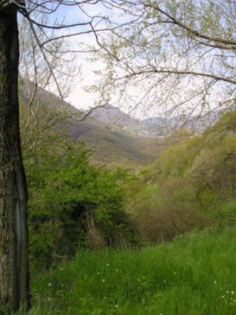 Lago D'Iseo景点图片