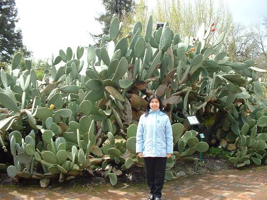 Luther Burbank Home & Gardens景点图片