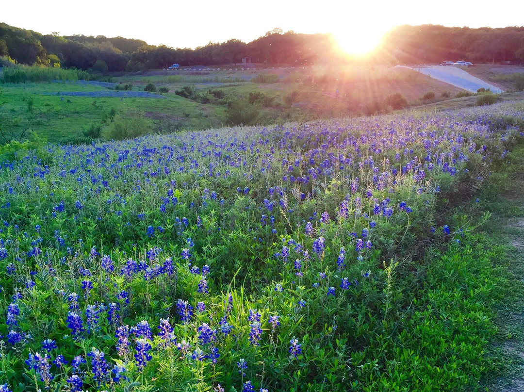 Muleshoe Bend Recreation Area-Spicewood必去景点