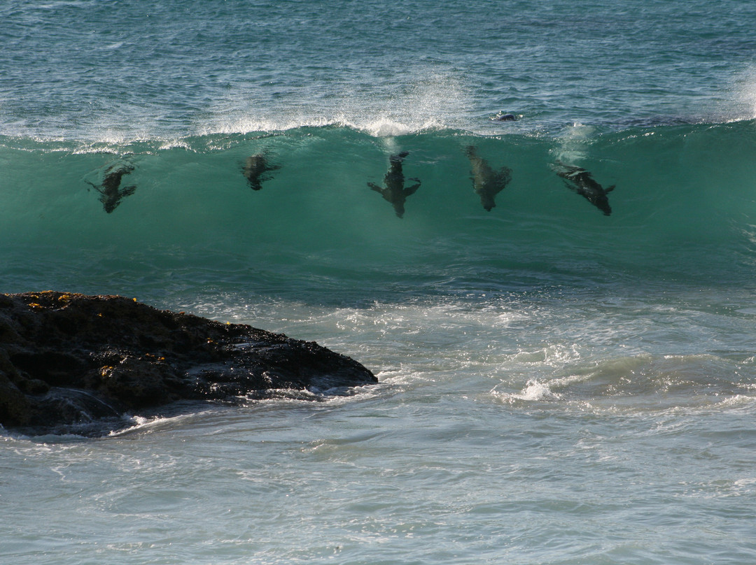 Discovery Tours - Day Tours-开普敦中心区必去景点