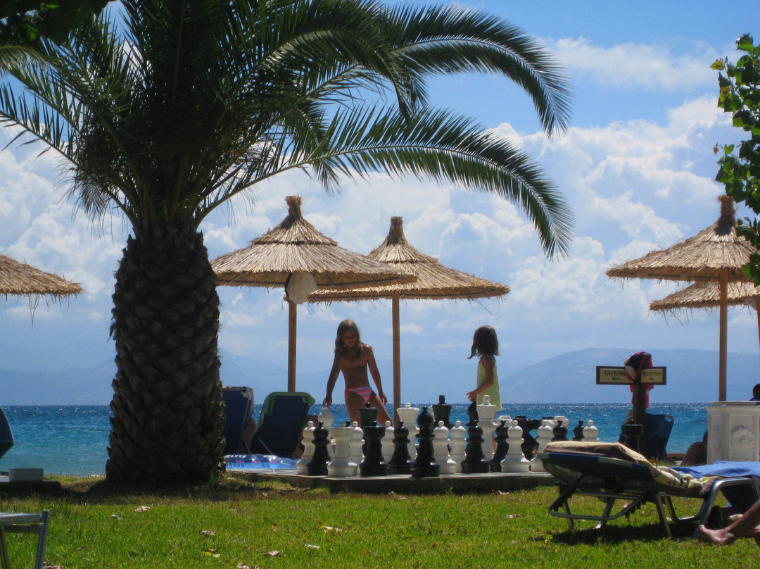 Delfinia Hotel主图