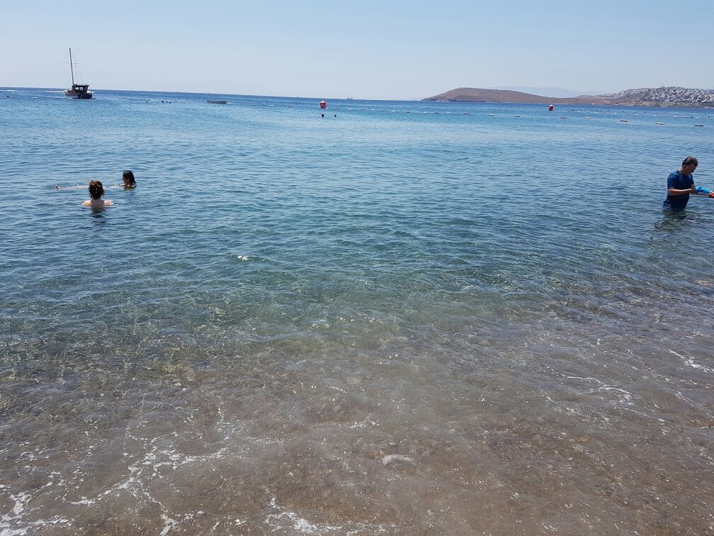 Aspava