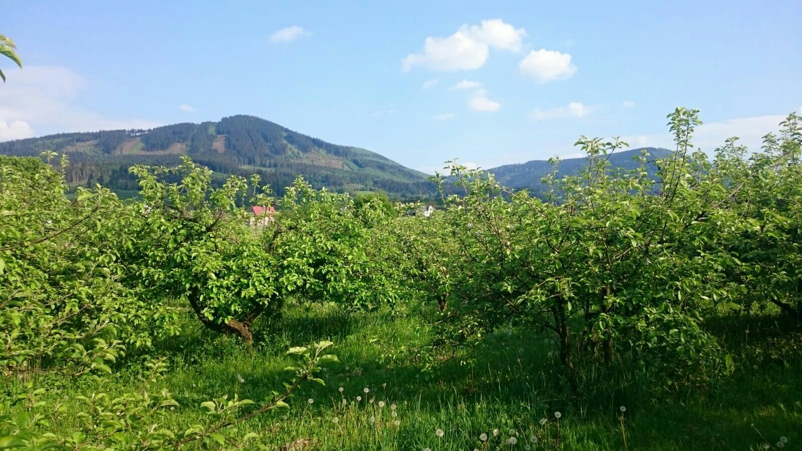 Agropenzion Lhotka-官方