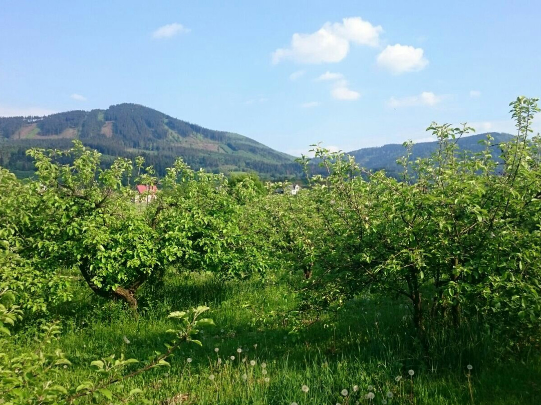 Zbiroh酒店住宿-Agropenzion Lhotka