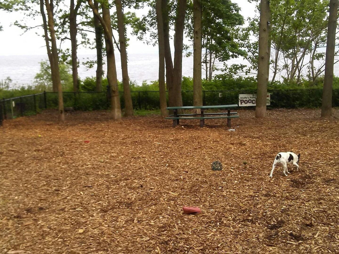 Wolfe's Pond Park and Beach景点图片