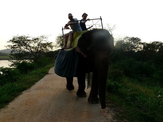 Freedom Lanka Tours-卡图纳耶克必去景点