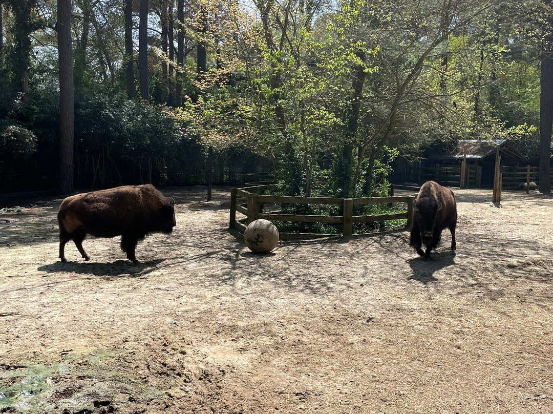Salisbury Zoo-索尔兹伯里必去景点