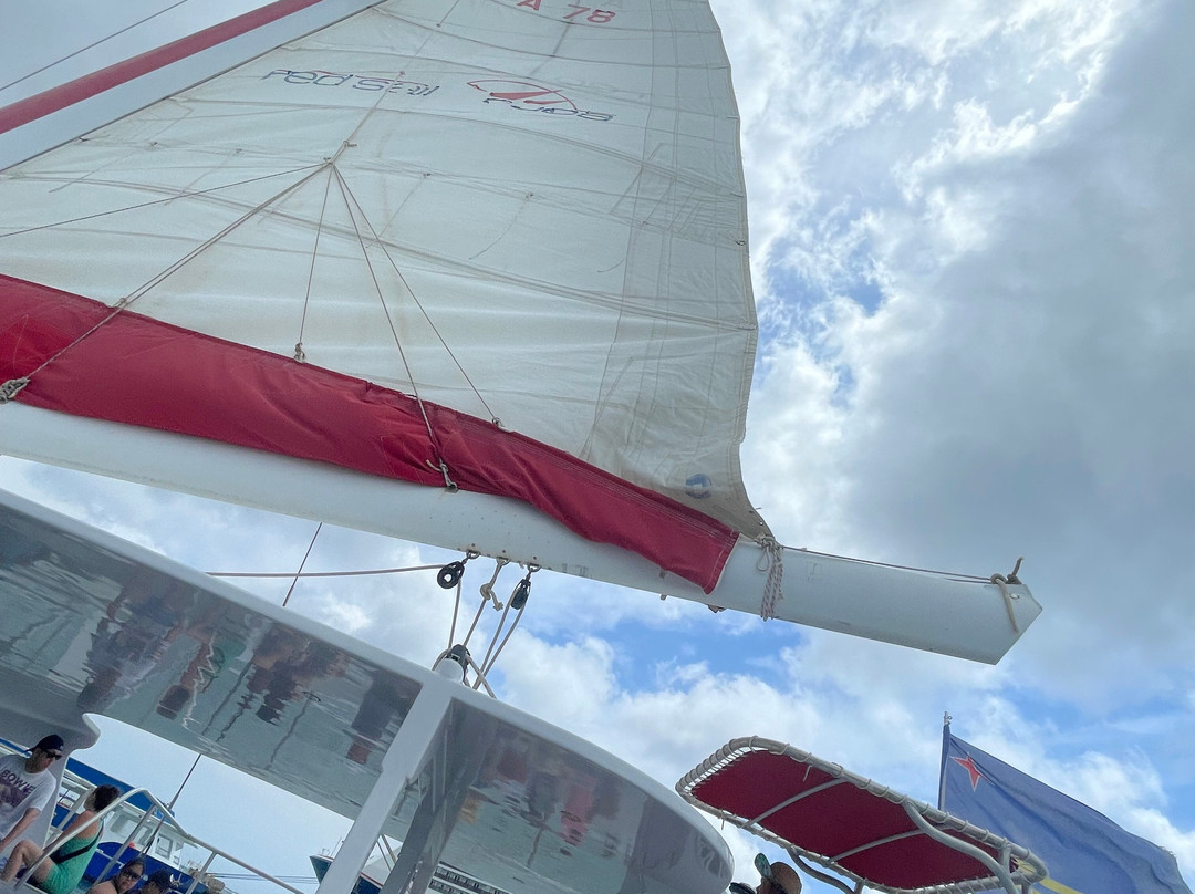 Red Sail Sports Aruba景点图片