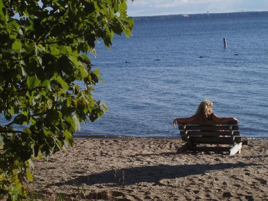 Lake Bemidji State Park-伯米吉必去景点