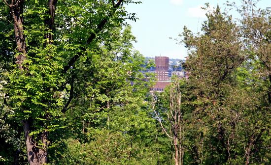 Hovedoya-奥斯陆必去景点