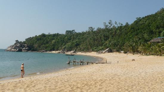 Cham Island Diving景点图片