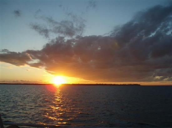 Blue Dolphin Marine Tours-尤兰根必去景点