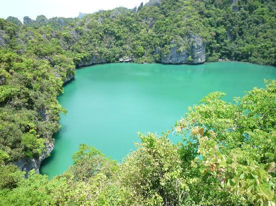 东方百分百潜水-苏梅岛必去景点