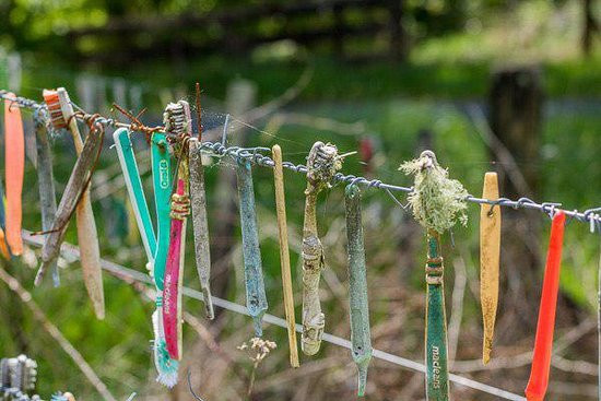 The Toothbrush Fence-汉密尔顿必去景点
