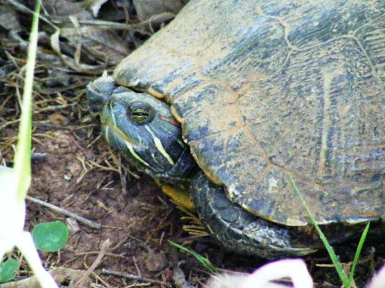 Martin Park Nature Center-俄克拉何马城必去景点