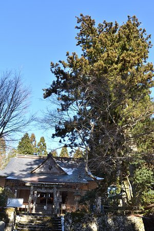 Nishiteru Shrine-美马市必去景点