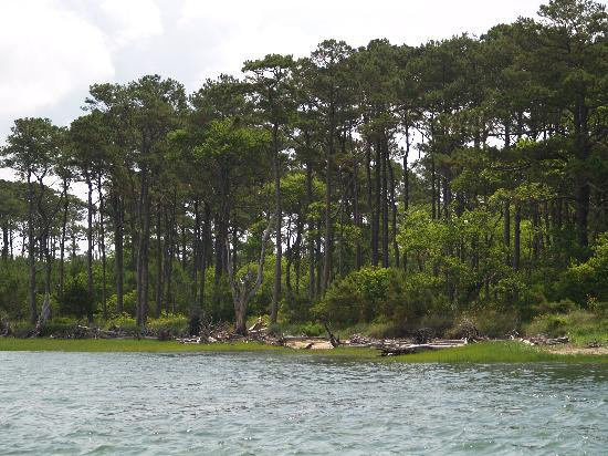 Daisey's Island Cruises-钦科蒂格岛必去景点