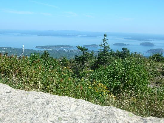 Oli's Trolley - Acadia National Park Tour-巴港必去景点