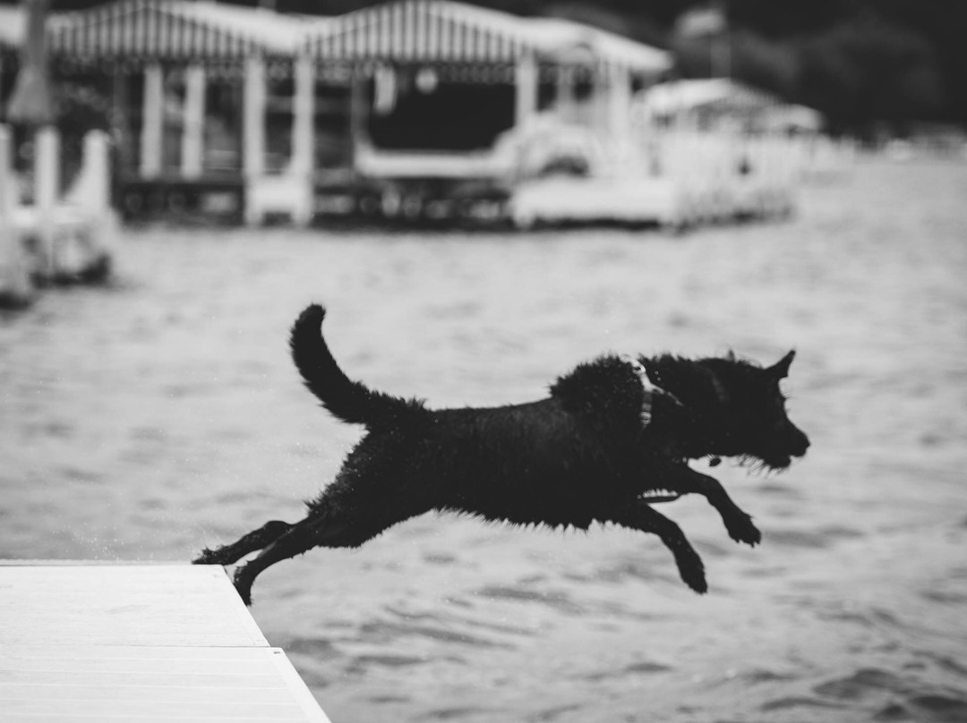 Eleven Gables Inn And Cottage主图