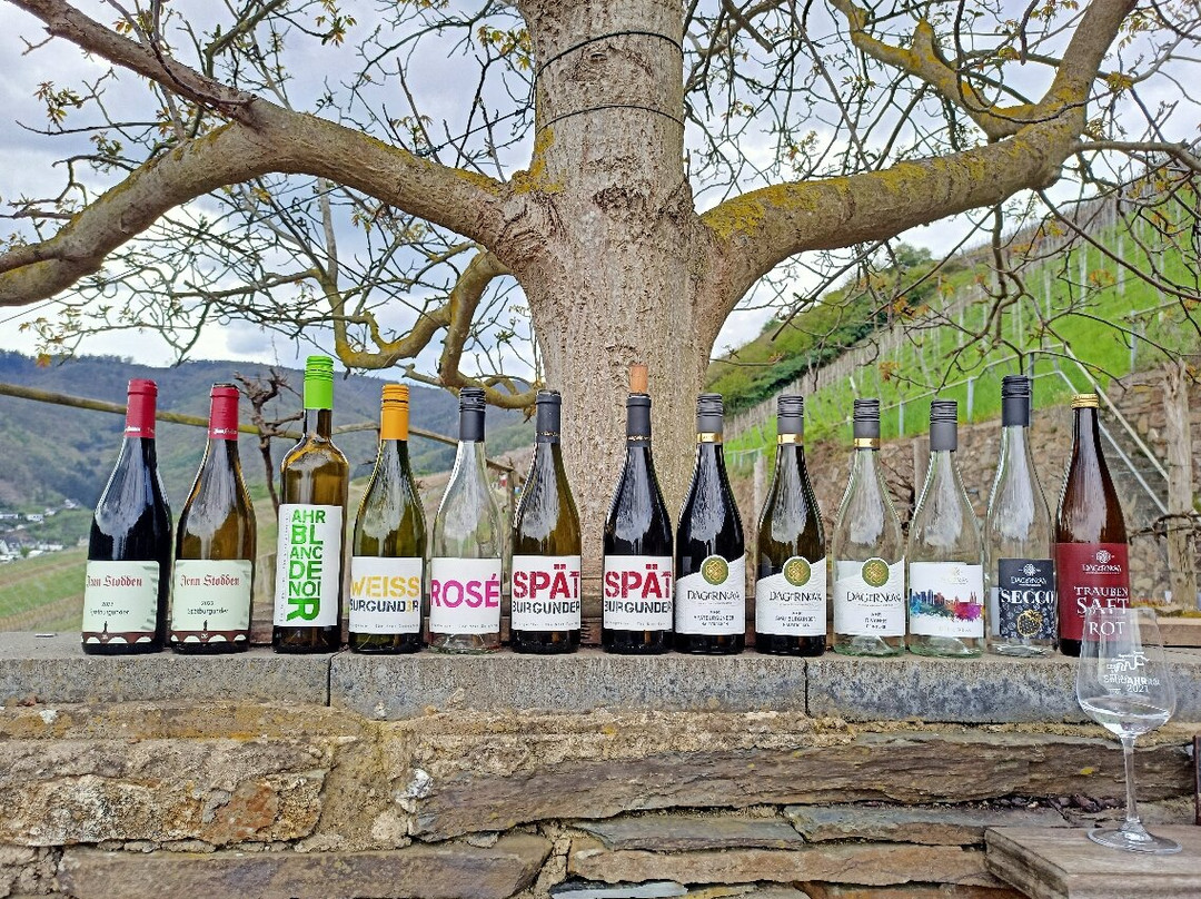 PicknickAhr-Rech必去景点