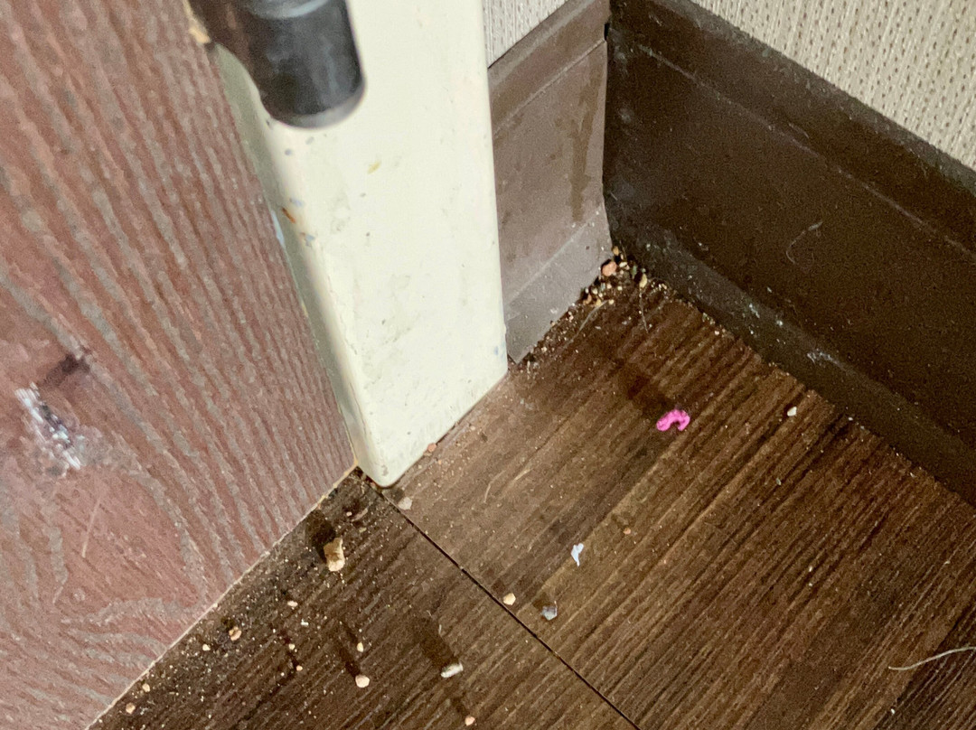 卡纳布智选假日酒店主图