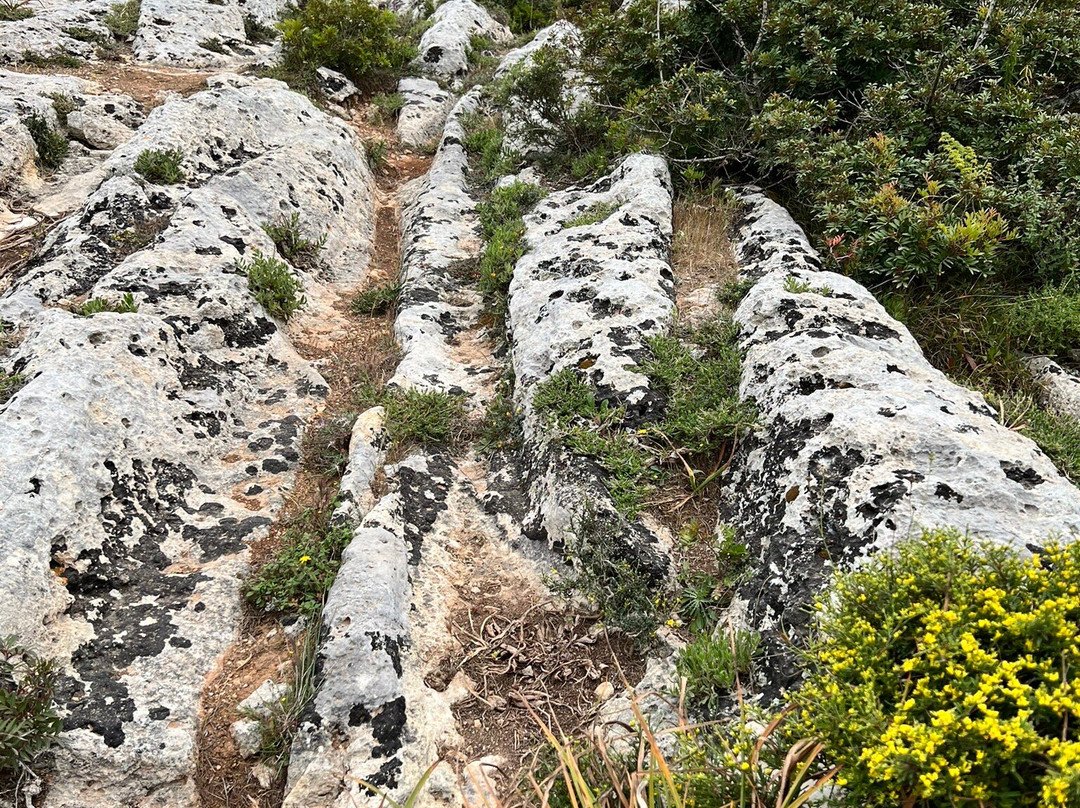 Dingli Cart Ruts (Clapham Junction) and Caves景点图片
