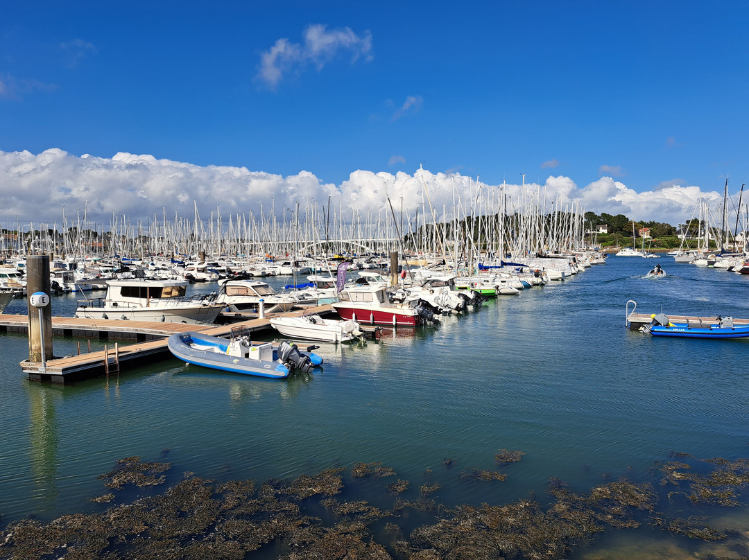Port de la Trinité-sur-Mer-La Trinite-sur-Mer必去景点
