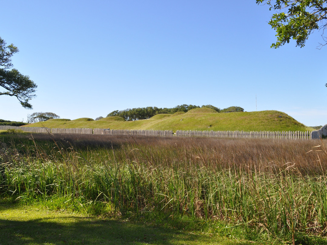 Fort Fisher State Historic Site景点图片