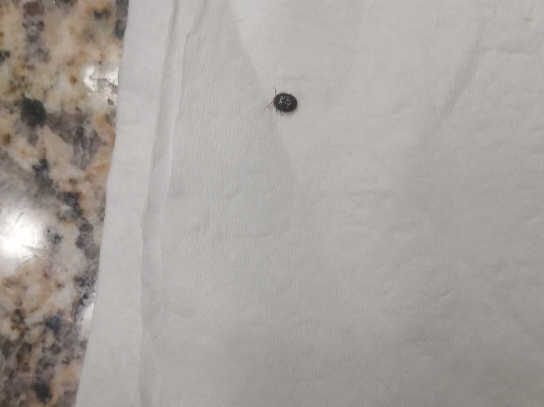 Spark by Hilton Abingdon I-81 near Fairgrounds主图